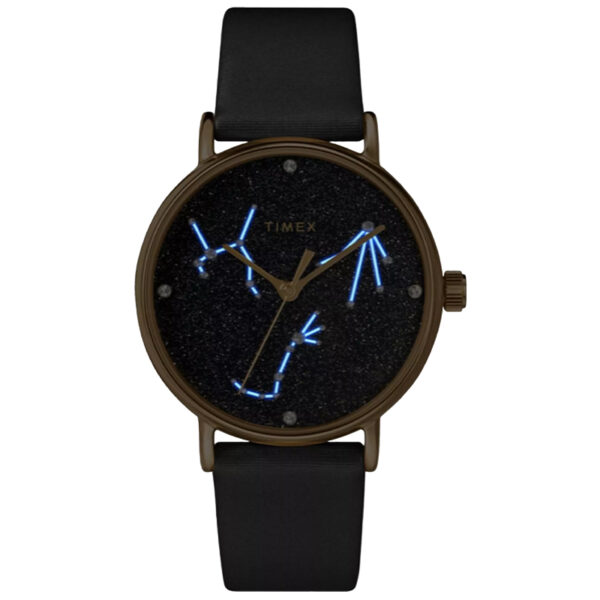 ساعت تایمکس Timex زنانه مدل TW2T87600