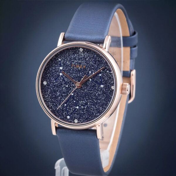 ساعت تایمکس Timex زنانه مدل TW2T87800