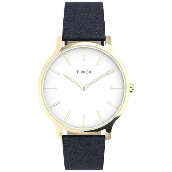 ساعت تایمکس Timex مردانه مدل TW2V04900